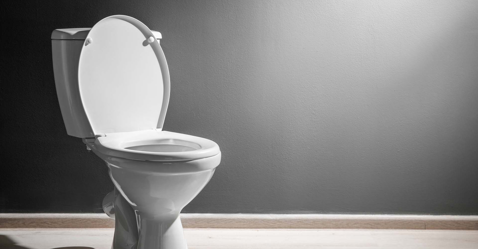 A toilet