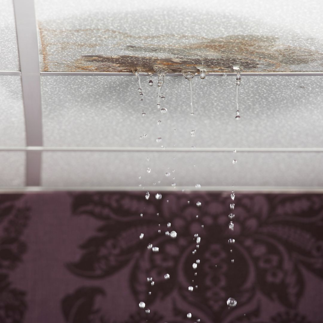 water leak in ceiling