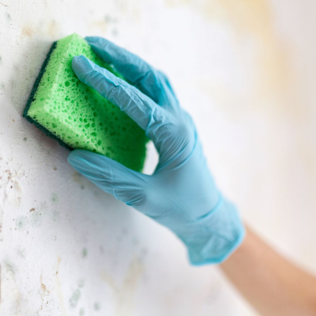 cleaning plumbing