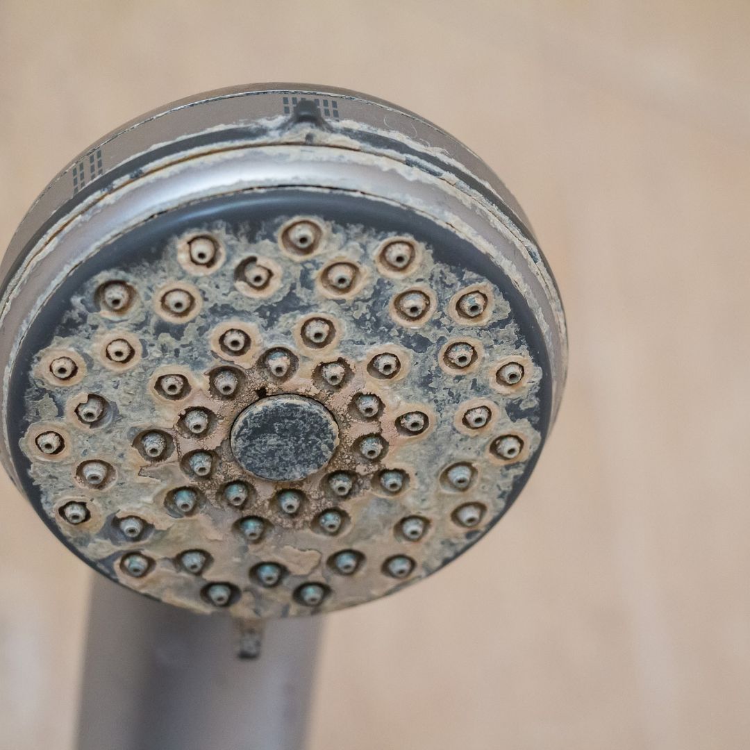 a shower head with hard water damage