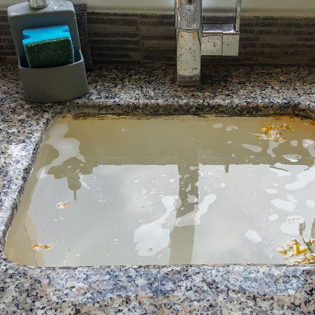 backed up sink